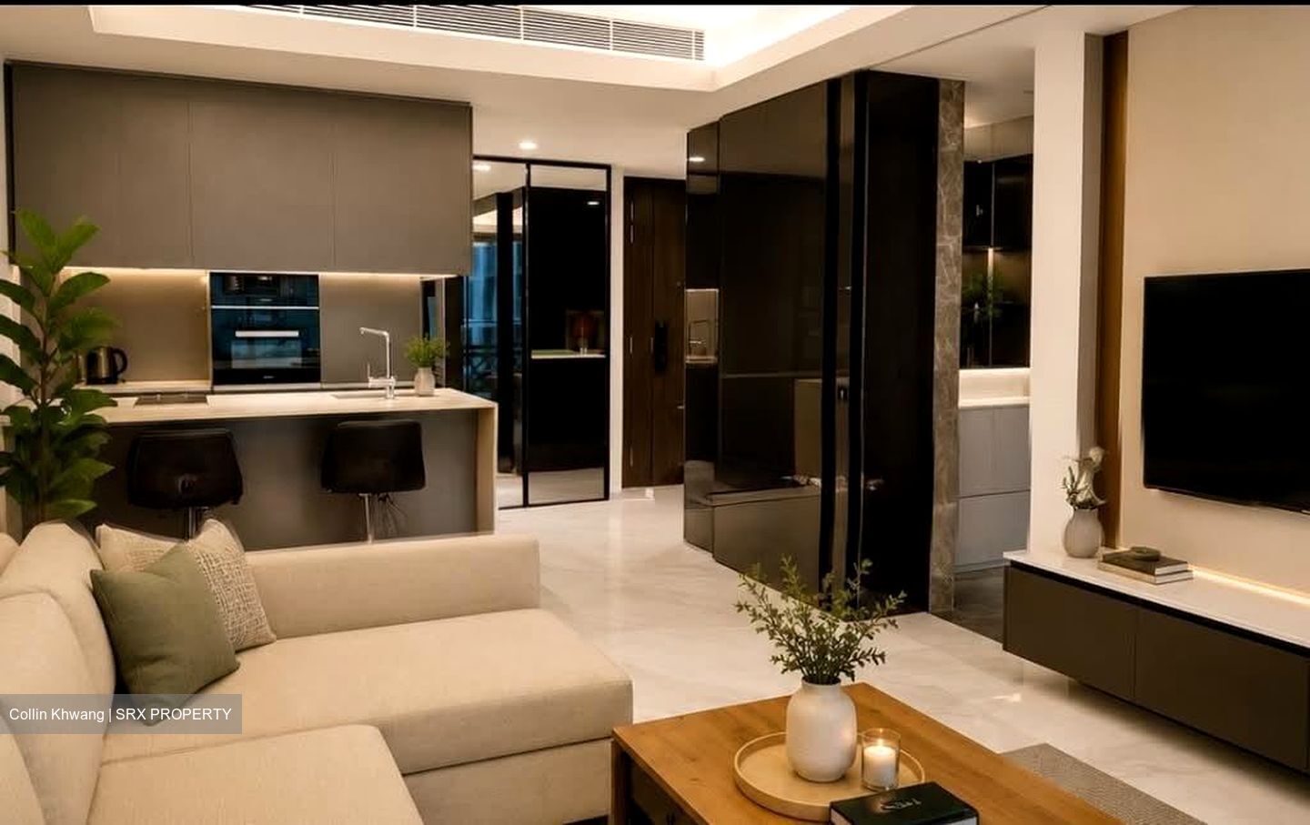 Cairnhill Nine (D9), Apartment #563813151